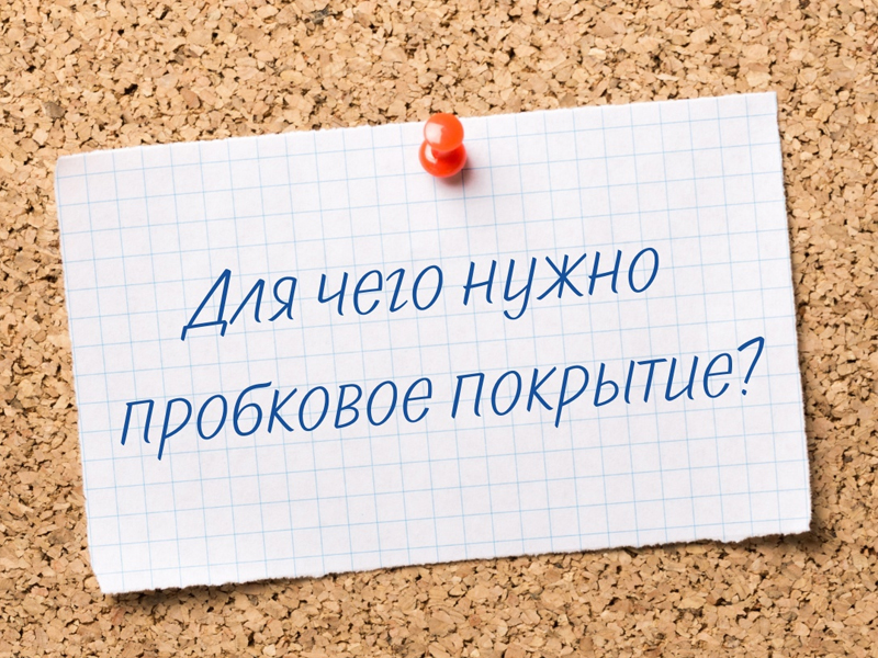 Что такое пробковое покрытие и для чего оно нужно?